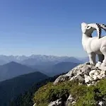 Peter Wiedemann 3* Lenggries